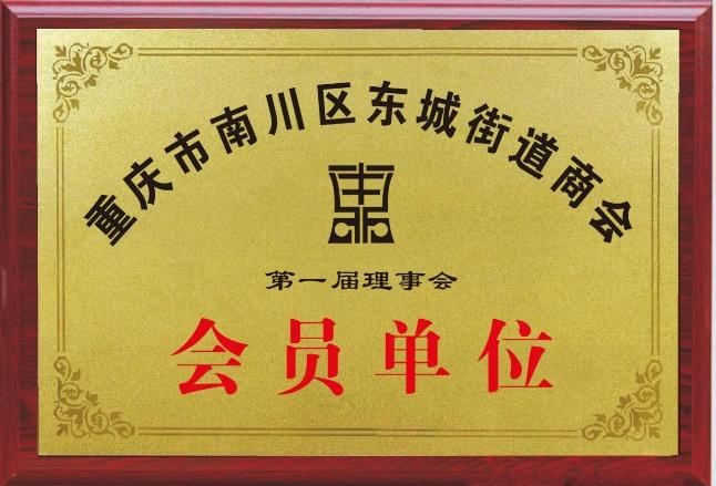 荣誉证书5